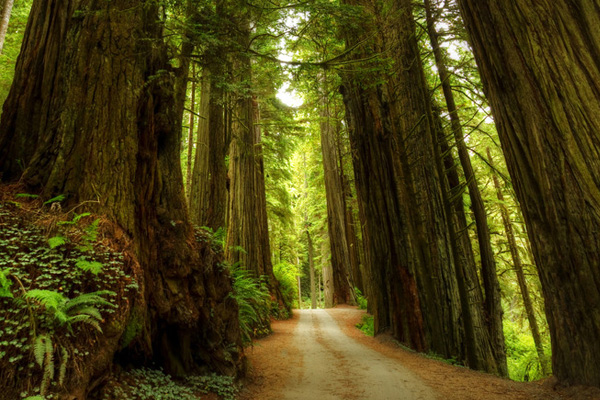 지속 가능한 우수성 및 글로벌 전문 지식